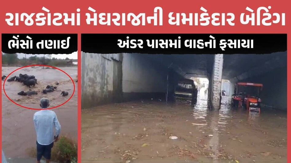 રાજકોટ જિલ્લામાં સાર્વત્રિક મેઘમહેર, જામકંડોરણામાં 4 ઈંચ તો ગોંડલમાં 1 કલાકમાં 2.5 ઈંચ વરસાદ Rajkot Rain