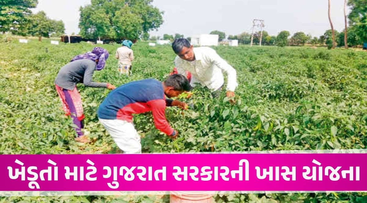 પ્રાકૃતિક ખેતી કરતા ખેડૂતો માટે નવી યોજના, રાજ્ય સરકાર હેક્ટર દીઠ ચૂકવશે આટલા હજારની સહાય Farmers