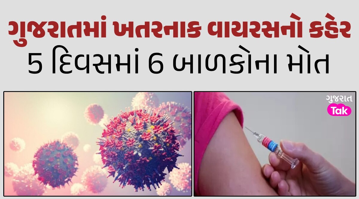 ગુજરાતમાં ફૂંફાડા મારી રહ્યો છે નવો વાયરસ, વધુ એક બાળકનો લીધો જીવ ગુજરાતમાં ખતરનાક વાયરસનો કહેર