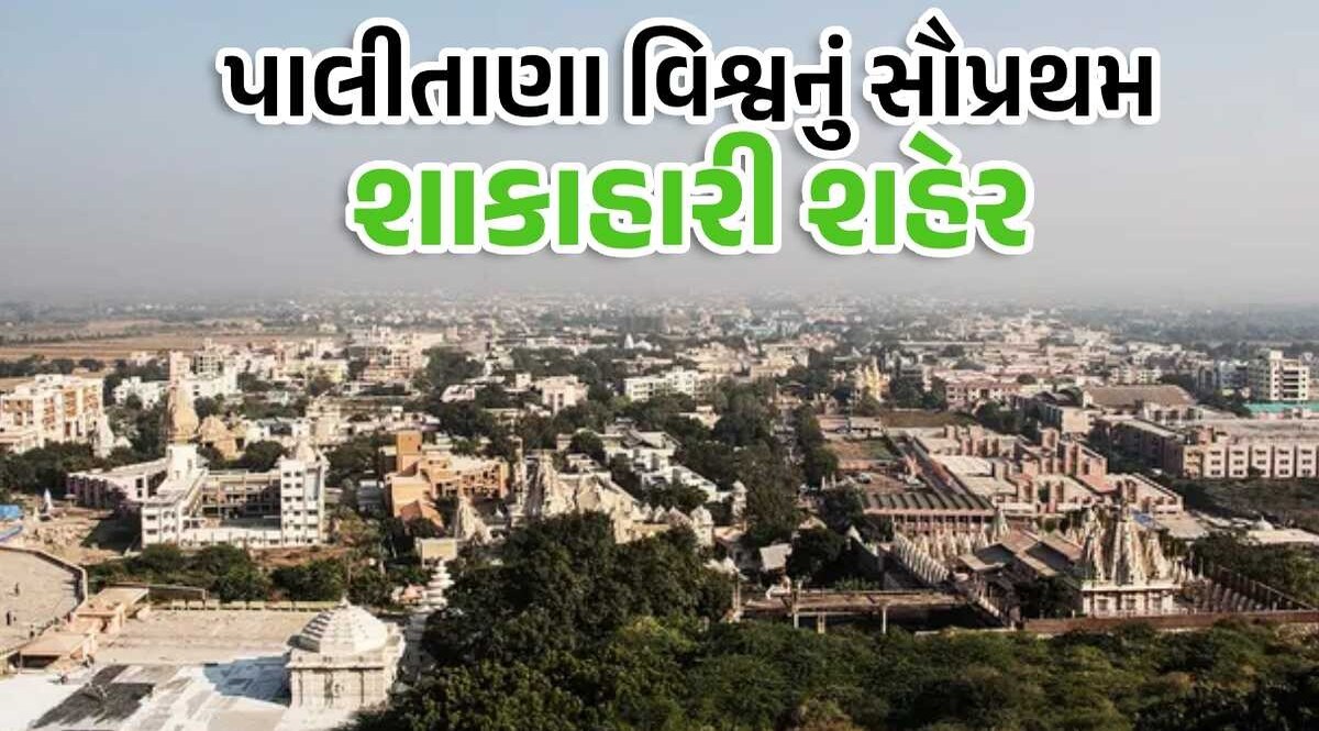 પાલીતાણા બન્યું દુનિયાનું પ્રથમ શાકાહારી શહેર, નોન-વેજ ખાવા, વેચવા અને પશુના કતલ પર પ્રતિબંધ Palitana: The world's first vegetarian city