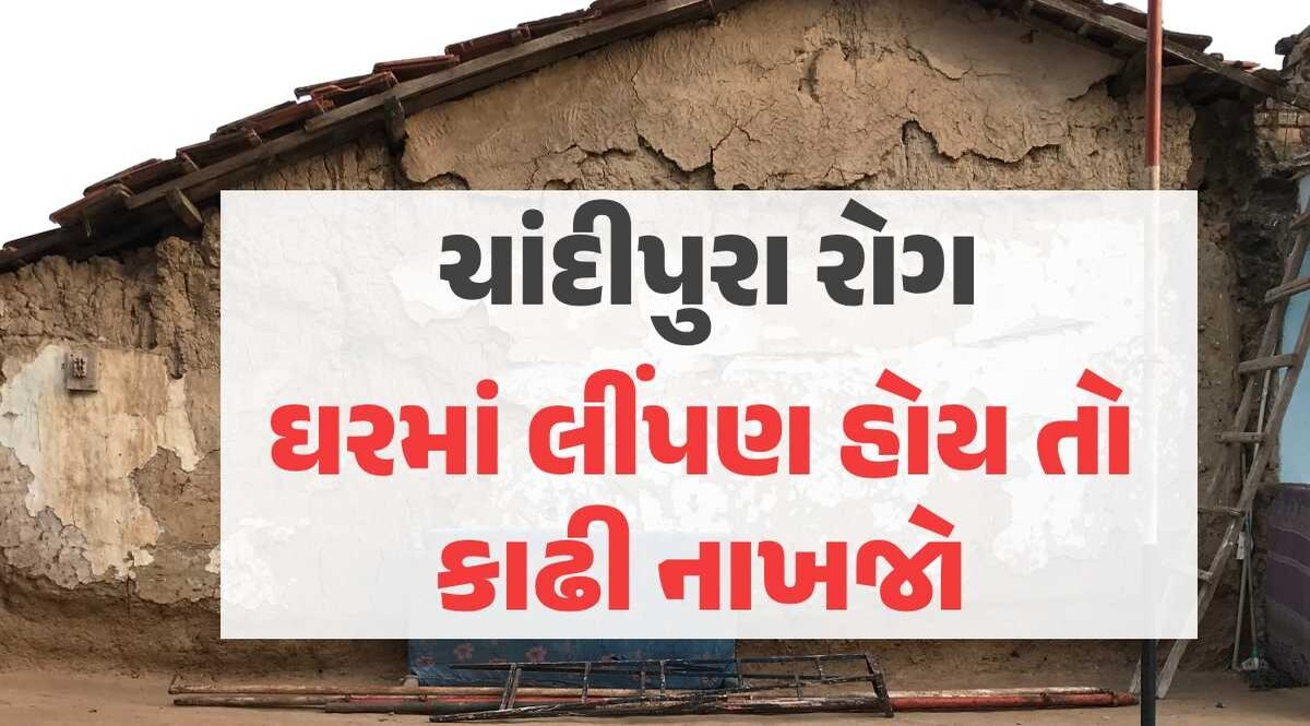 ચિંતાજનક! ગુજરાતમાં ચાંદીપુરા વાયરસથી અત્યાર સુધીમાં 14ના મોત, રાજ્યના આ જિલ્લાઓમાં શંકાસ્પદ કેસ ચાંદીપુરા વાયરસ