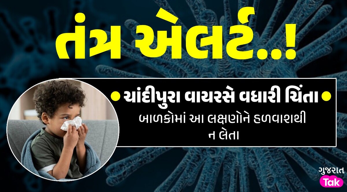 ચાંદીપુરા બન્યો ઘાતક! 24 કલાકમાં 4 બાળકોના મોત, રાજ્ય સરકારે તાત્કાલિક બોલાવી બેઠક ચાંદીપુરા વાયરસે વધારી ચિંતા