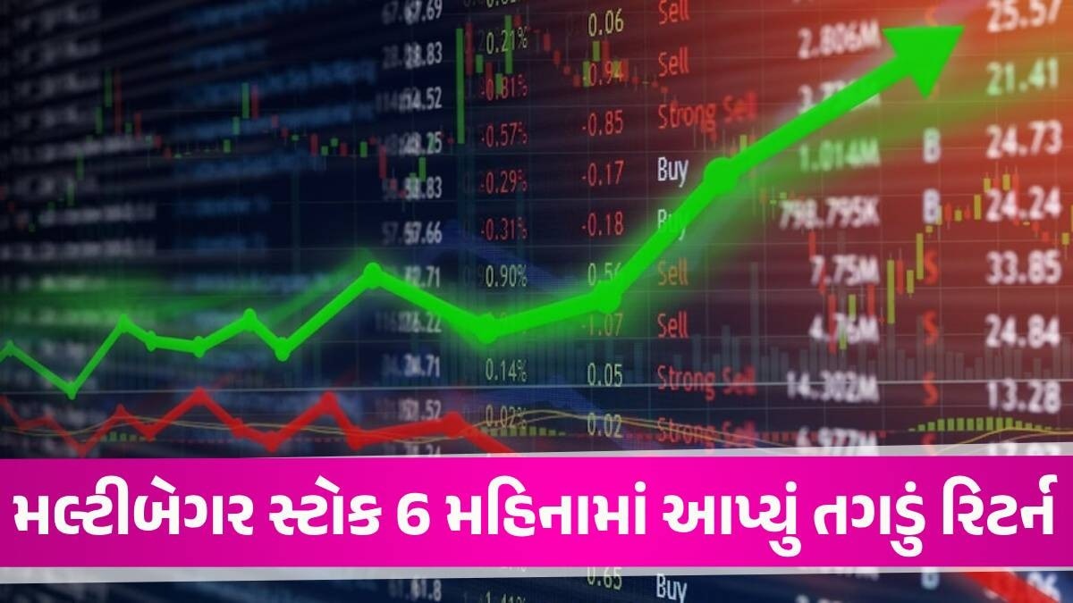 6 મહિનામાં રોકાણકારોએ ખૂબ પૈસા બનાવ્યા, હવે 1 શેરના બદલે આ કંપની આપશે 100 શેર્સ Multibagger Stock