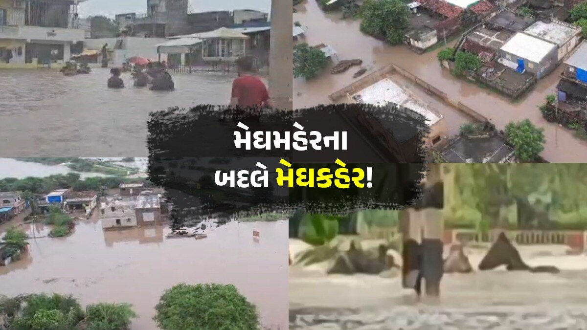 VIDEO: ક્યાંક 'ઘોડા'પૂર તો ક્યાંક આખું ગામ ડૂબ્યું, જુઓ ગુજરાતમાં જળપ્રલયના 10 દ્રશ્યો Gujarat Rain