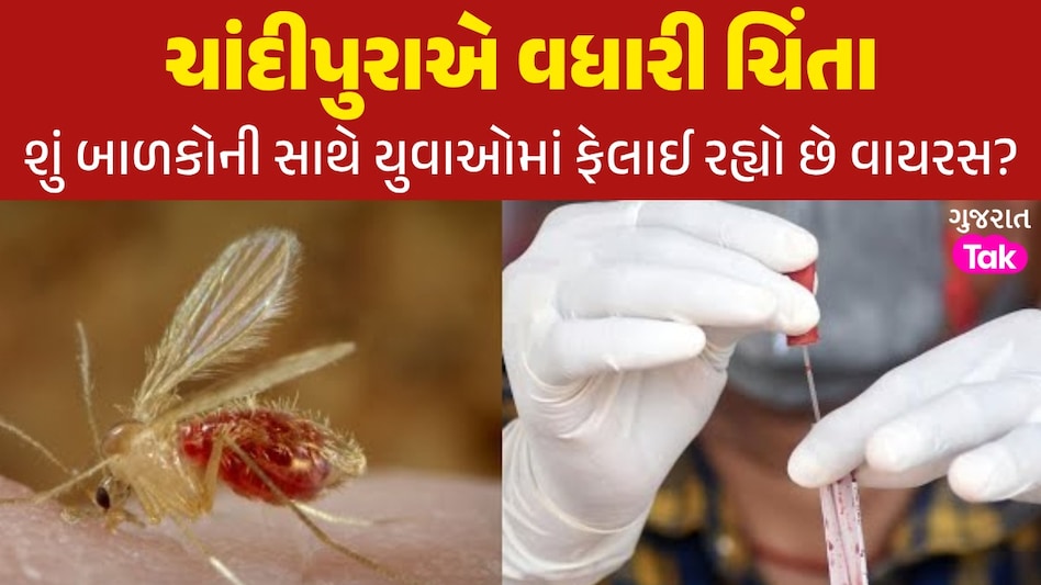 ગુજરાતમાં હવે યુવાનોમાં પણ ફેલાઈ રહ્યો છે ચાંદીપુરા વાયરસ? પહેલીવાર 18 વર્ષના યુવકમાં જોવા મળ્યા લક્ષણો ચાંદીપુરા વાયરસનો વધ્યો કહેર
