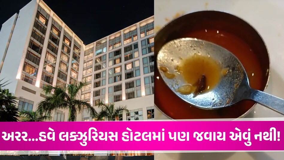 Video: અમદાવાદની મોંઘીદાટ હોટલમાં પણ હલકી સર્વિસ! સંભારમાંથી નીકળ્યો વંદો, જુઓ પછી શું થયું... Ahmedabad News