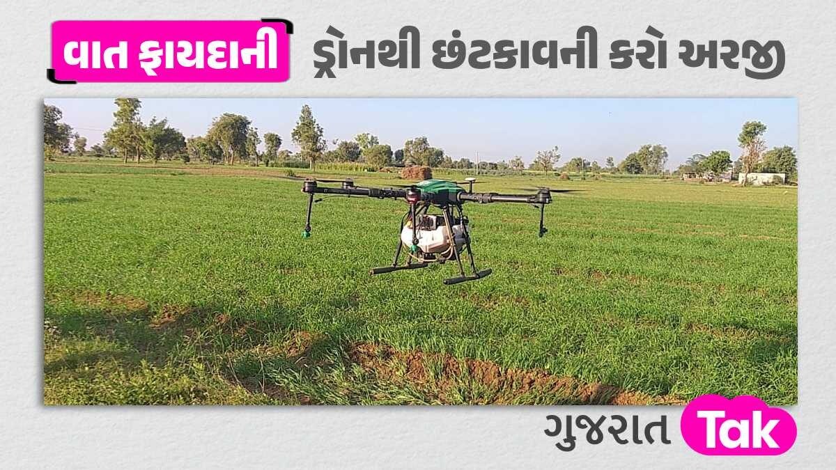 20 મિનિટમાં કામ પૂરું! ખેતરમાં ડ્રોનથી દવા છંટકાવ કરવા મળશે સહાય, આવી રીતે કરો અરજી ડ્રોનથી છંટકાવની મળશે સહાય