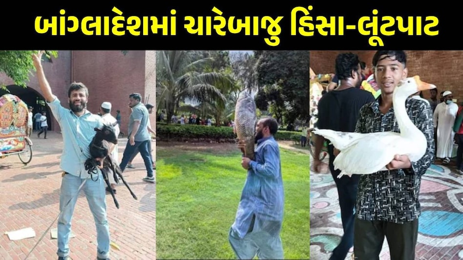 ક્રિકેટર, ચીફ જસ્ટીસ, બિઝનેસમેન... બાંગ્લાદેશમાં હિંસક ભીડે કોઈનું ઘર ન છોડ્યું, ચારે બાજુ લૂંટ-આગચંપી Bangladesh Violence