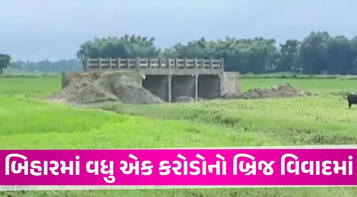 ના નદી, ના નહેર, ના રોડ... બિહારમાં ખેતરની વચ્ચો વચ્ચ બની ગયો 3 કરોડનો બ્રિજ, સરકારે શું સ્પષ્ટતા આપી? Bihar bridge
