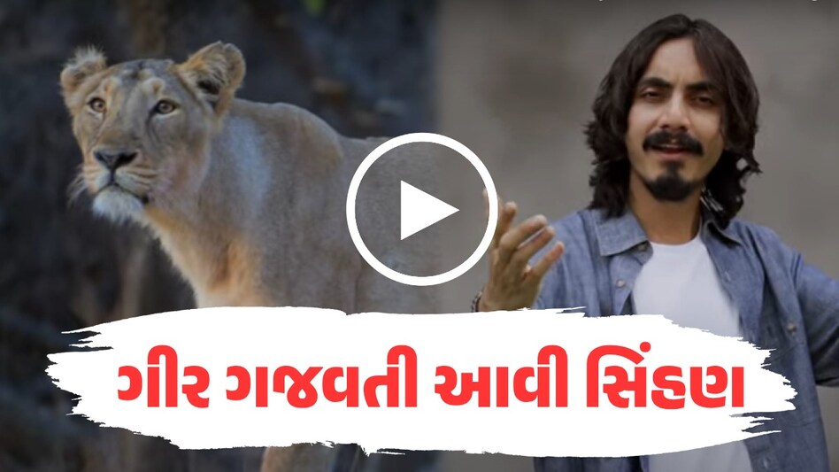 Video : 'ગીર ગજવતી આવી સિંહણ...', ગીરની સિંહણ પરનું સૌપ્રથમ વીડિયો સોંગ થયું રિલીઝ ગીર ગજવતી આવી સિંહણ (વીડિયો સોંગ)