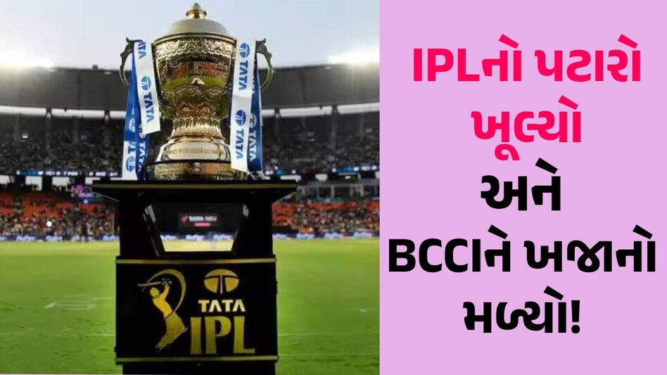 BCCI Income: IPL 2023 માંથી BCCI થયું માલામાલ! રકમ જાણીને તમારા હોશ ઊડી જશે BCCI Income