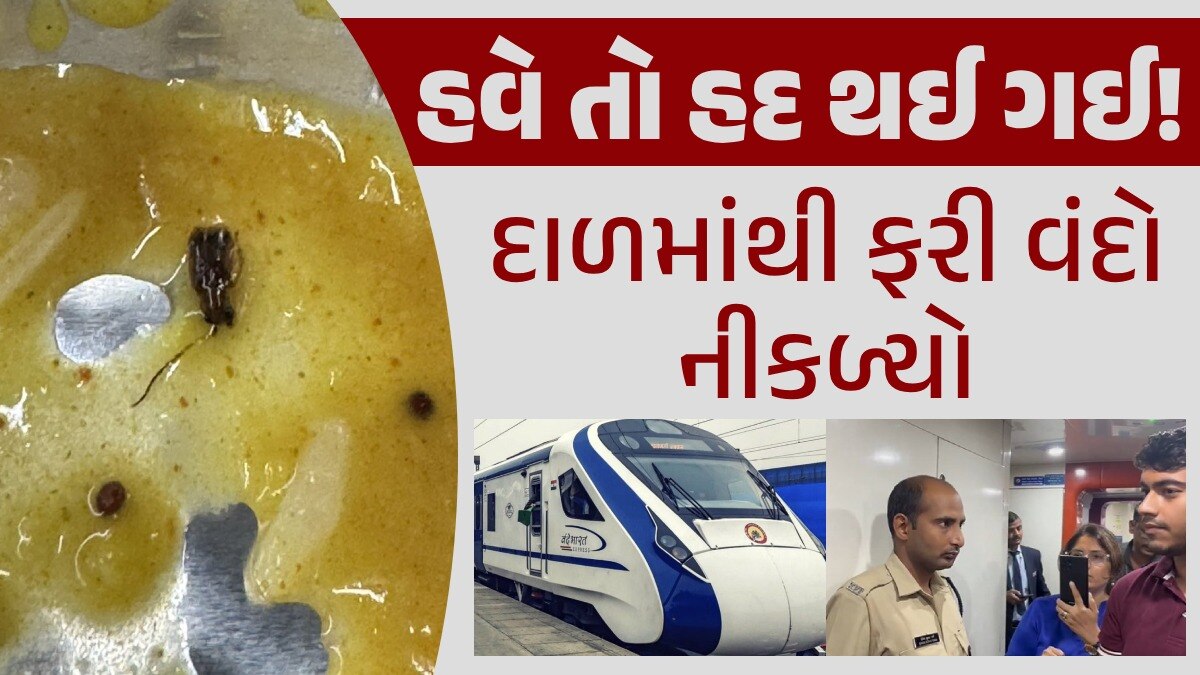 અરરર..વંદે ભારત ટ્રેનના ફૂડ પેકેટમાંથી ફરી નીકળ્યો વંદો, મુસાફરો ભડક્યા દાળમાંથી ફરી વંદો નીકળ્યો