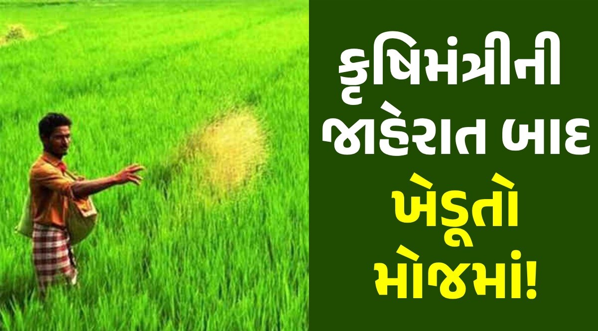 Gandhinagar: રાઘવજી પટેલની ખેડૂતલક્ષી મહત્વની જાહેરાત, કૃષિ મંત્રીએ ચોમાસું સત્રમાં આપી જાણકારી Gandhinagar News