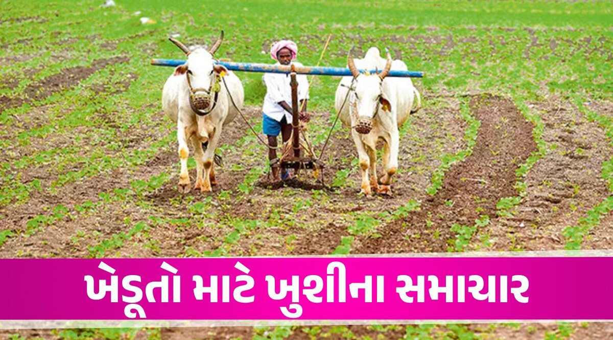 Big News: ખેડૂતો માટે મોટા સમાચાર, રાહત પેકેજને લઈ ગુજરાત સરકારે કરી મહત્વની જાહેરાત Gandhinagar News