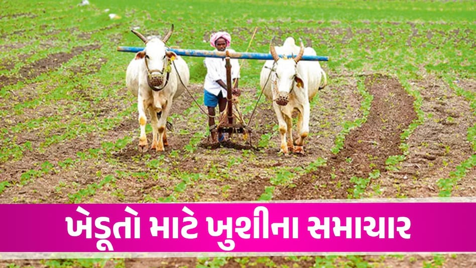 Big News: ખેડૂતો માટે મોટા સમાચાર, રાહત પેકેજને લઈ ગુજરાત સરકારે કરી મહત્વની જાહેરાત Gandhinagar News