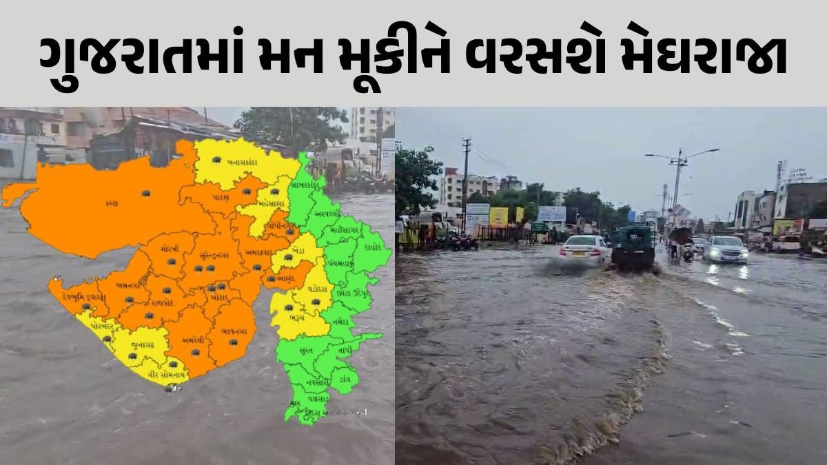 ગુજરાતમાં હજુ 7 દિવસ ભારે, સાતમ-આઠમના તહેવાર પહેલા આ જિલ્લાઓમાં વરસાદનું રેડ એલર્ટ જાહેર Gujarat Rain