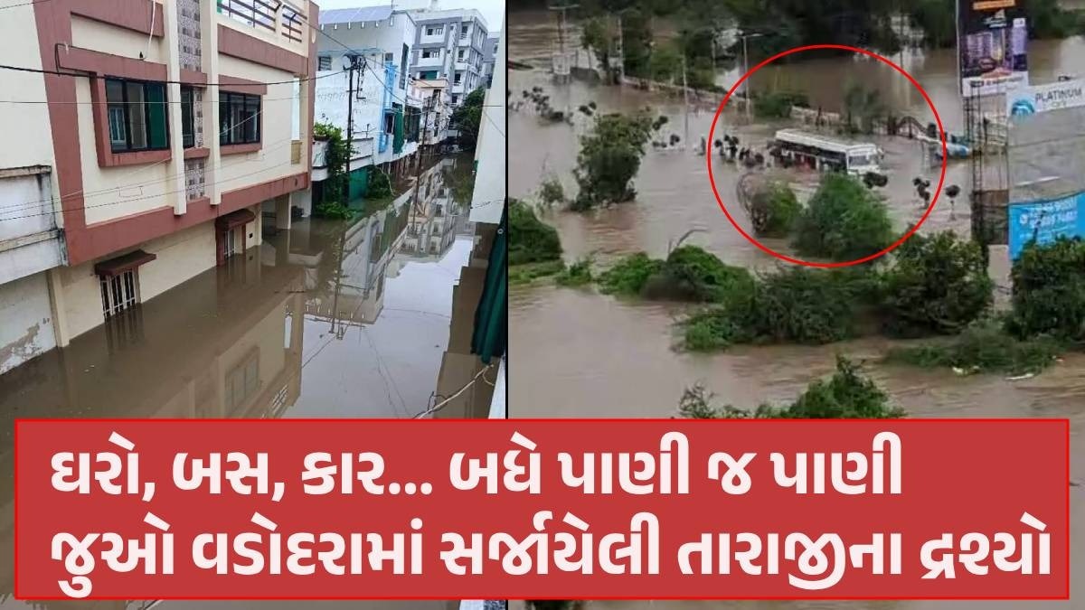 Vadodara: વિશ્વામિત્રી નદીમાં પૂરથી અડધું વડોદરા પાણીમાં, પોશ એરિયાના ઘરોમાં 4-5 ફૂટ પાણી ભરાયા Vadodara Rain