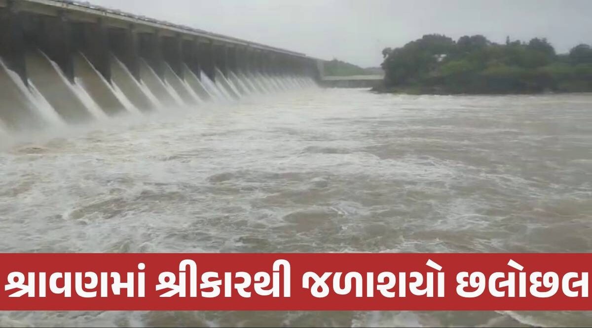 ગુજરાતમાં અવિરત વરસાદથી 96 ડેમ માટે હાઈ એલર્ટ જાહેર કરાયું, નર્મદા ડેમ છલોછલ થવાની તૈયારીમાં Gujarat Dam
