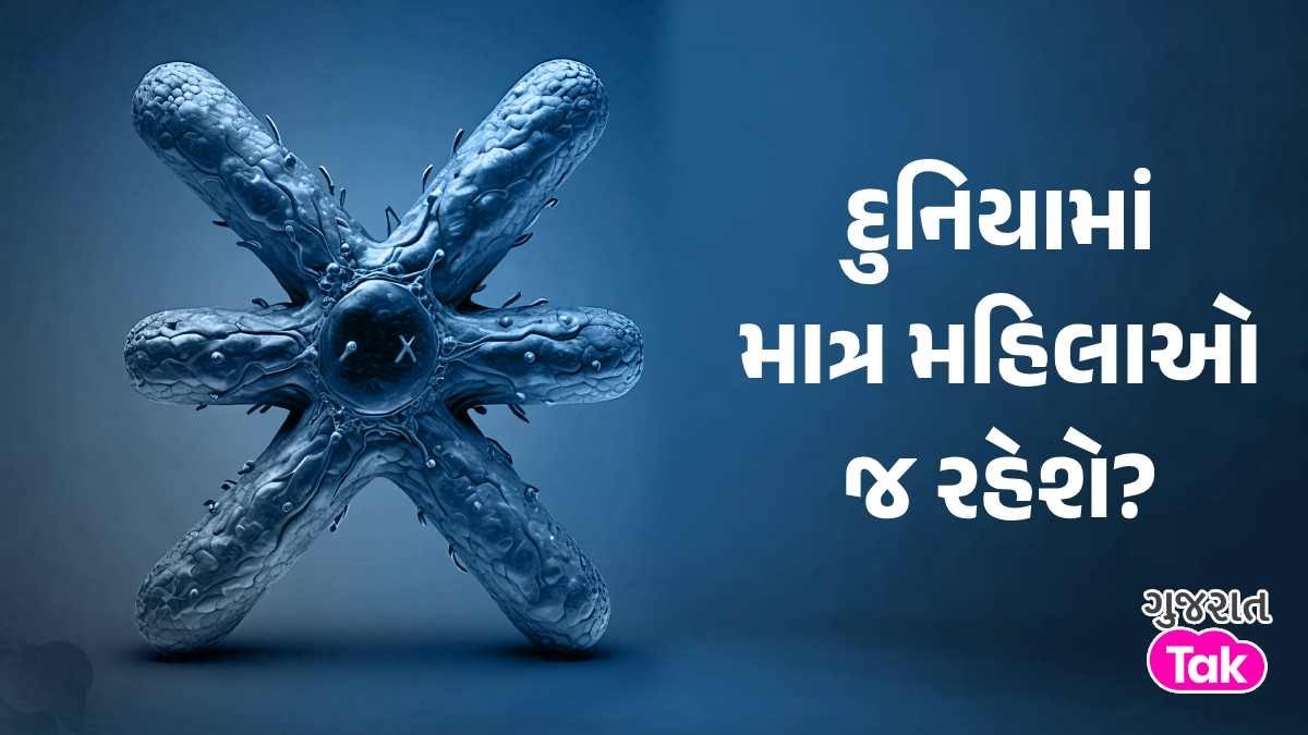 શું પૃથ્વીથી ખતમ થઈ જશે પુરૂષ? રહેશે માત્ર મહિલાઓ... રિસર્ચમાં સામે આવી ધ્રૂજાવીદેનારી માહિતી પુરૂષ Y રંગસૂત્ર