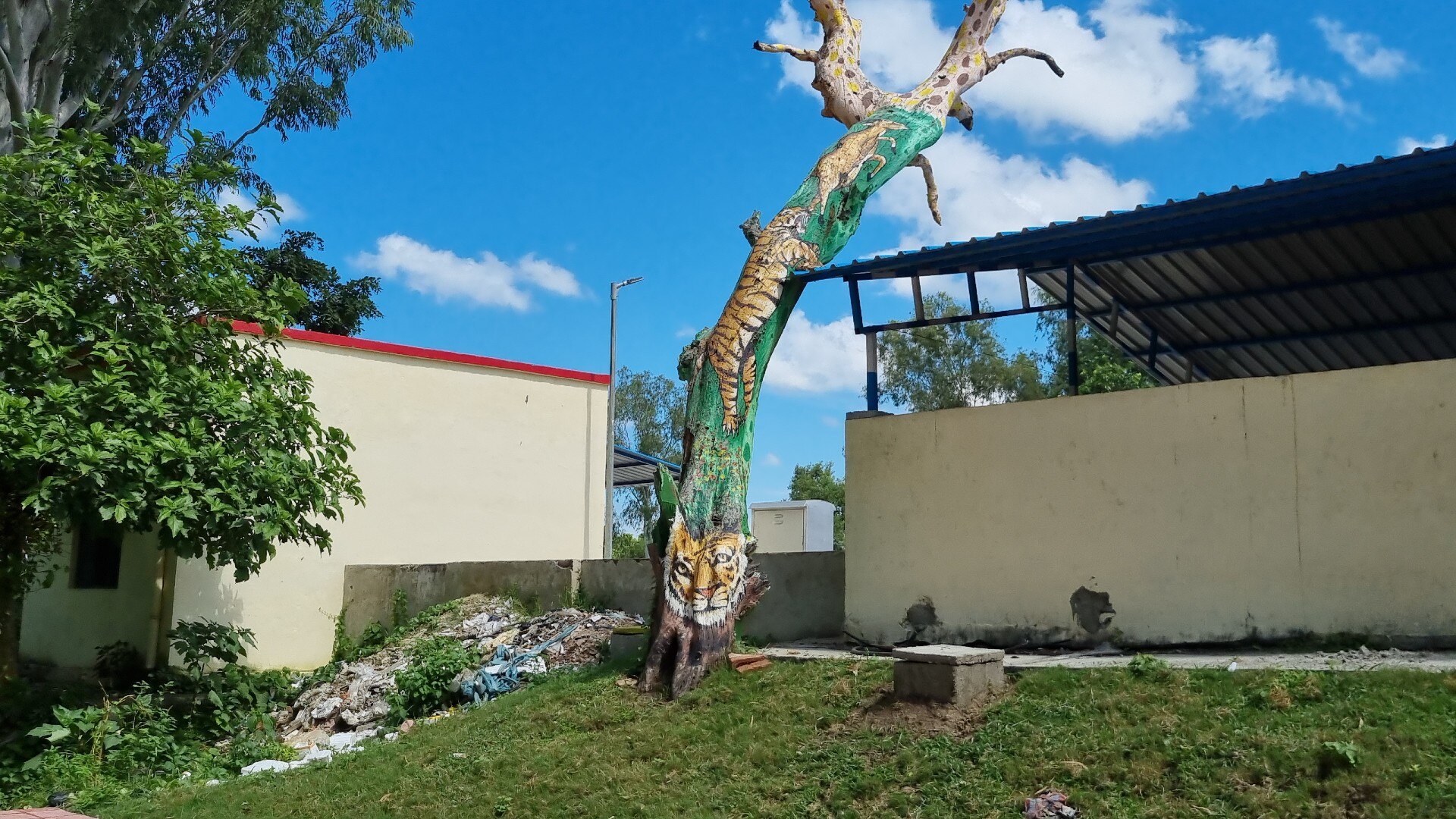 पेड़ों पर की गई पेंटिंग