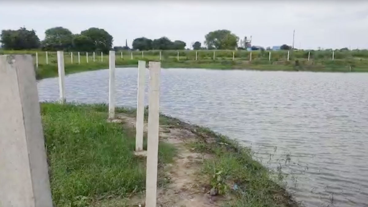 इंजीनियरिंग की नौकरी छोड़ तालाबों की देखरेख में जुटा शख्स