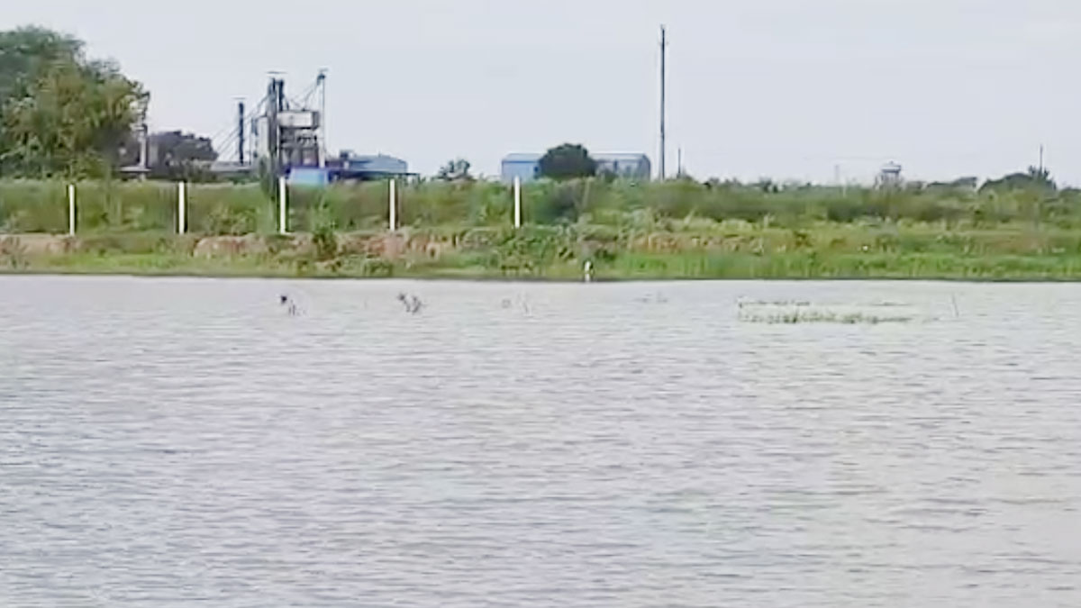 इंजीनियरिंग की नौकरी छोड़ तालाबों की देखरेख में जुटा शख्स