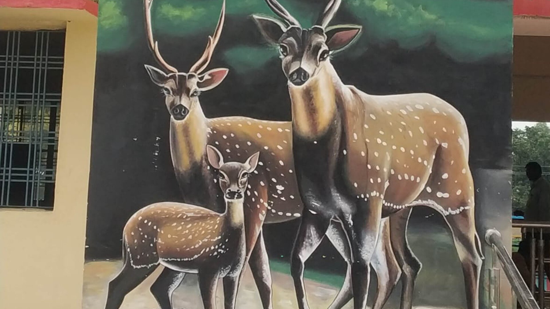 दीवारों पर हिरण की पेंटिंग