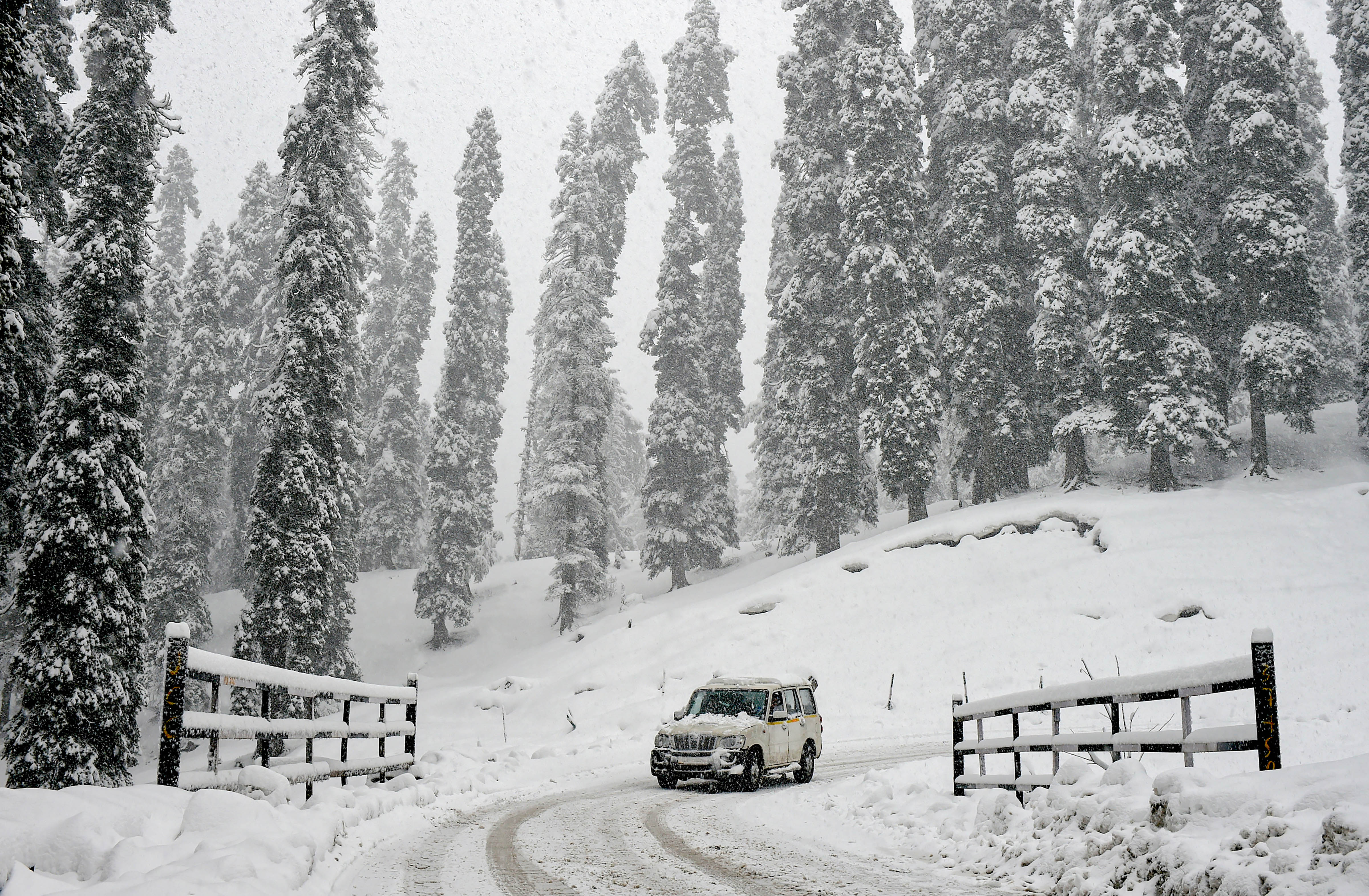 Gulmarg 4