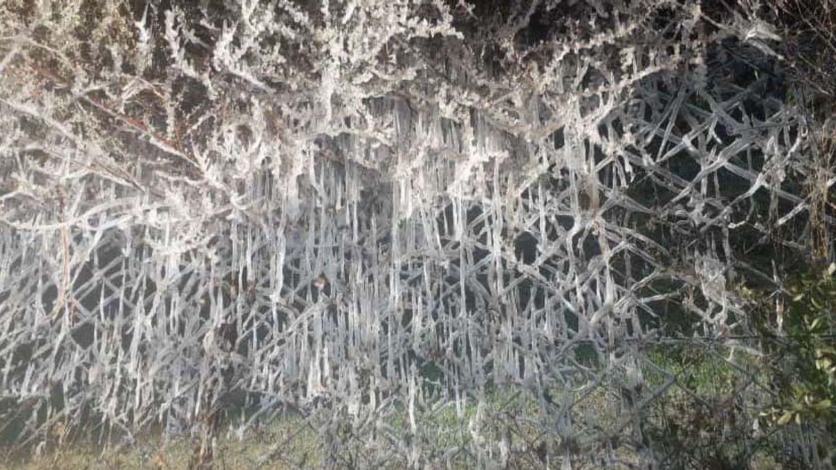 हर तरफ जमी बर्फ