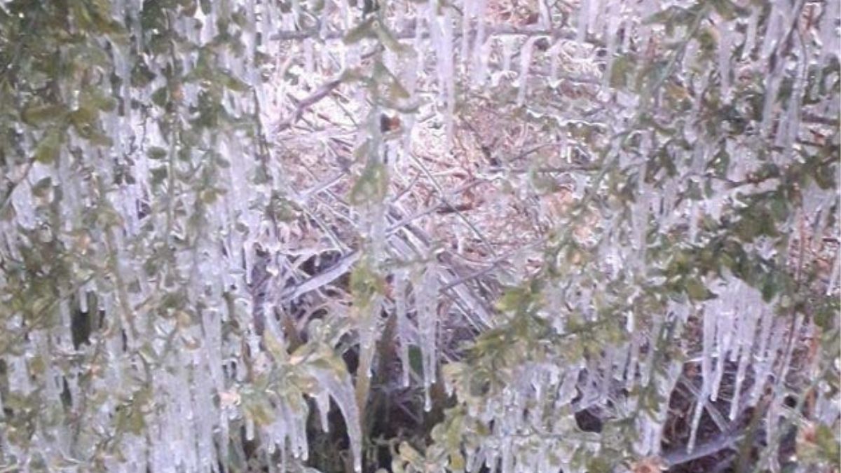 हर तरफ जमी बर्फ