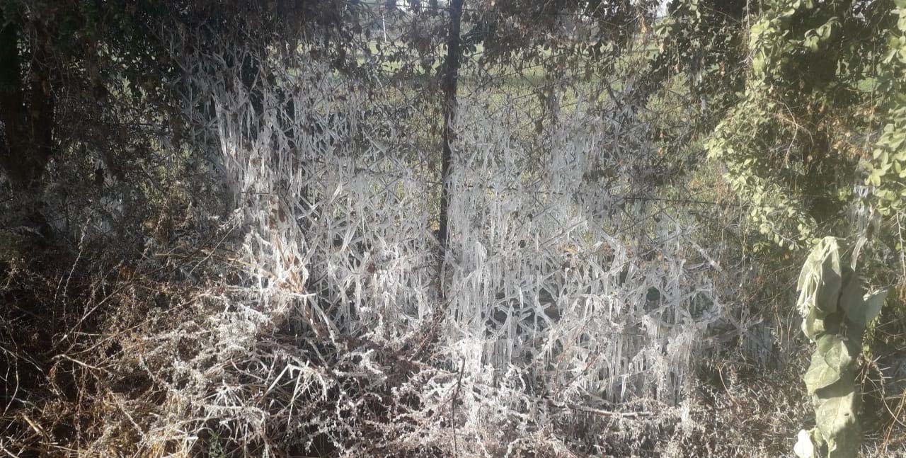 हर तरफ जमी बर्फ