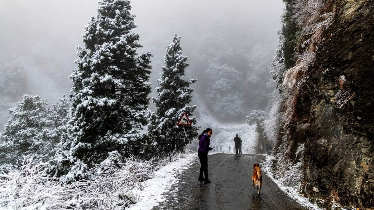 नैनीताल में सीजन की पहली बर्फबारी