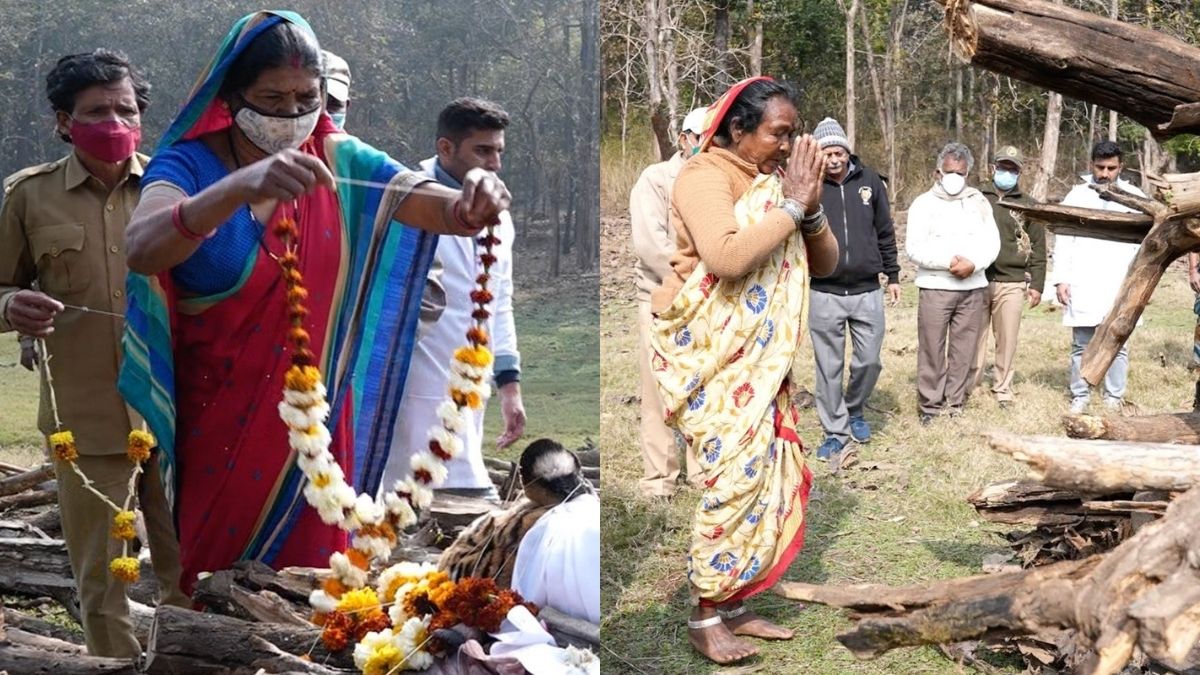 कॉलर वाली बाघिन (फोटो क्रेडिट- पुनीत कपूर)