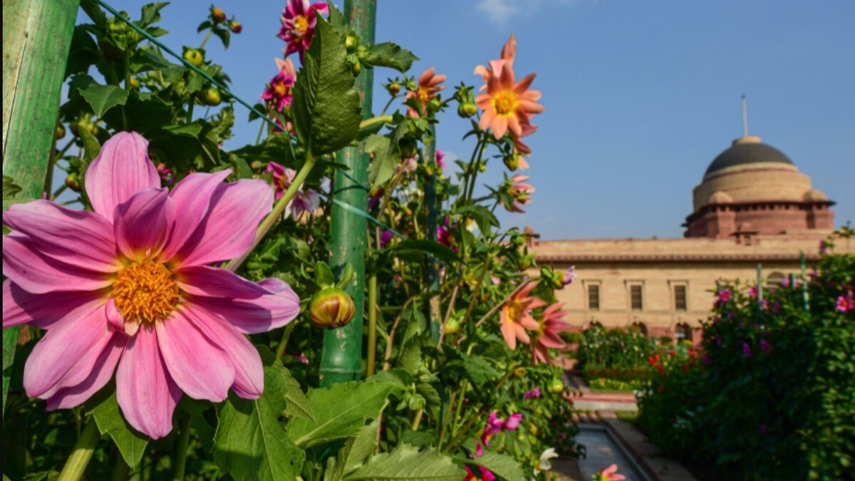 मुगल गार्डन