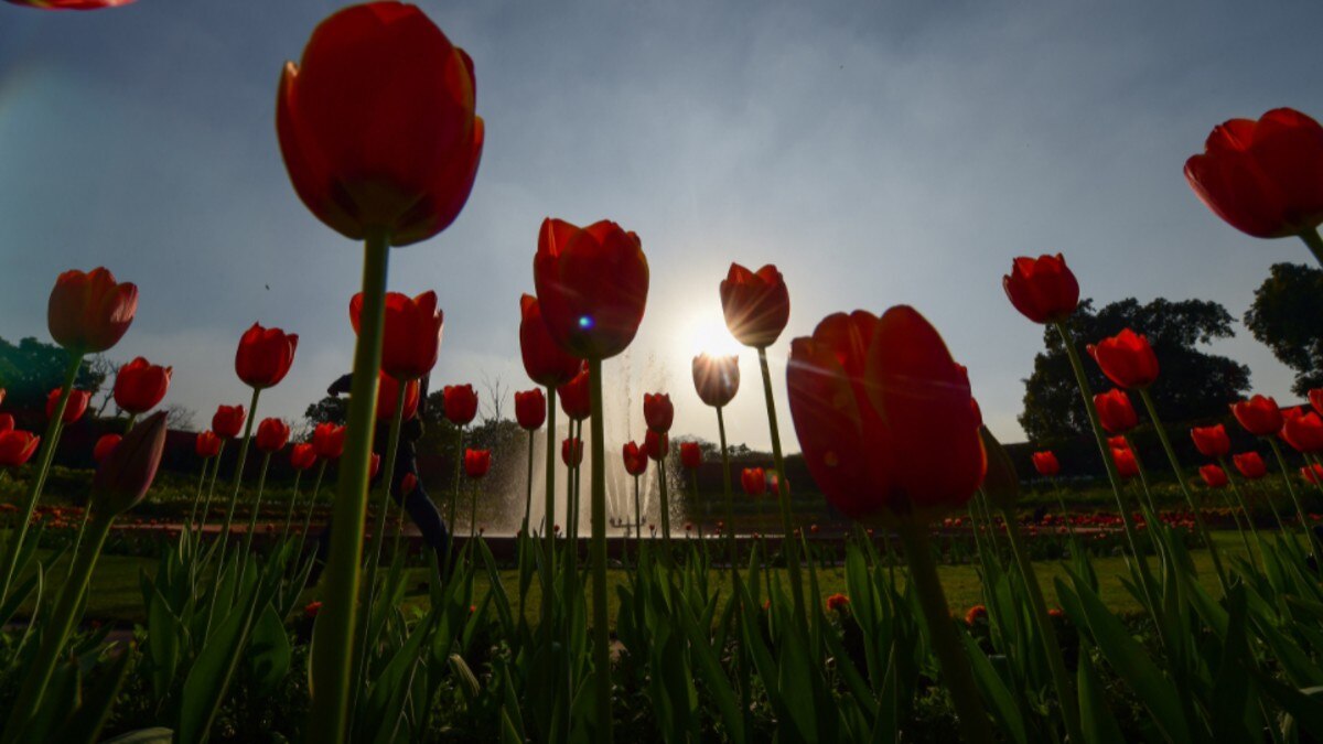 मुगल गार्डन