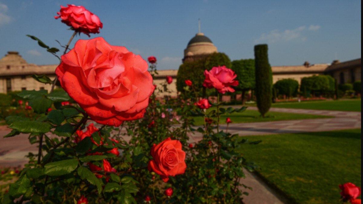 मुगल गार्डन
