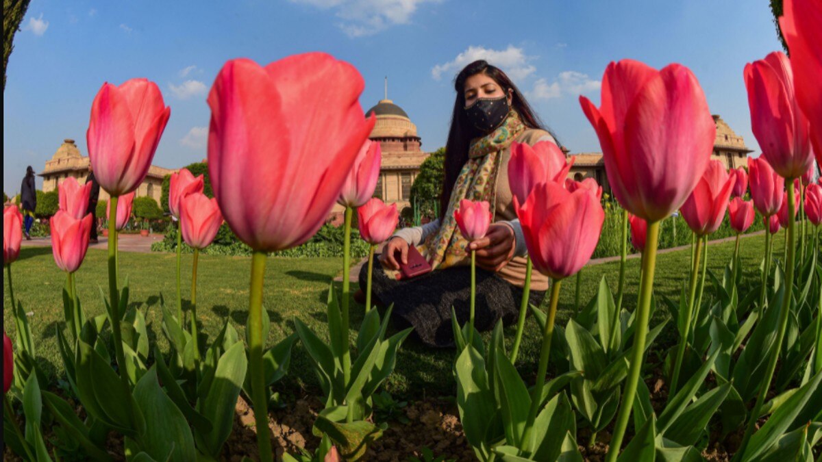 मुगल गार्डन