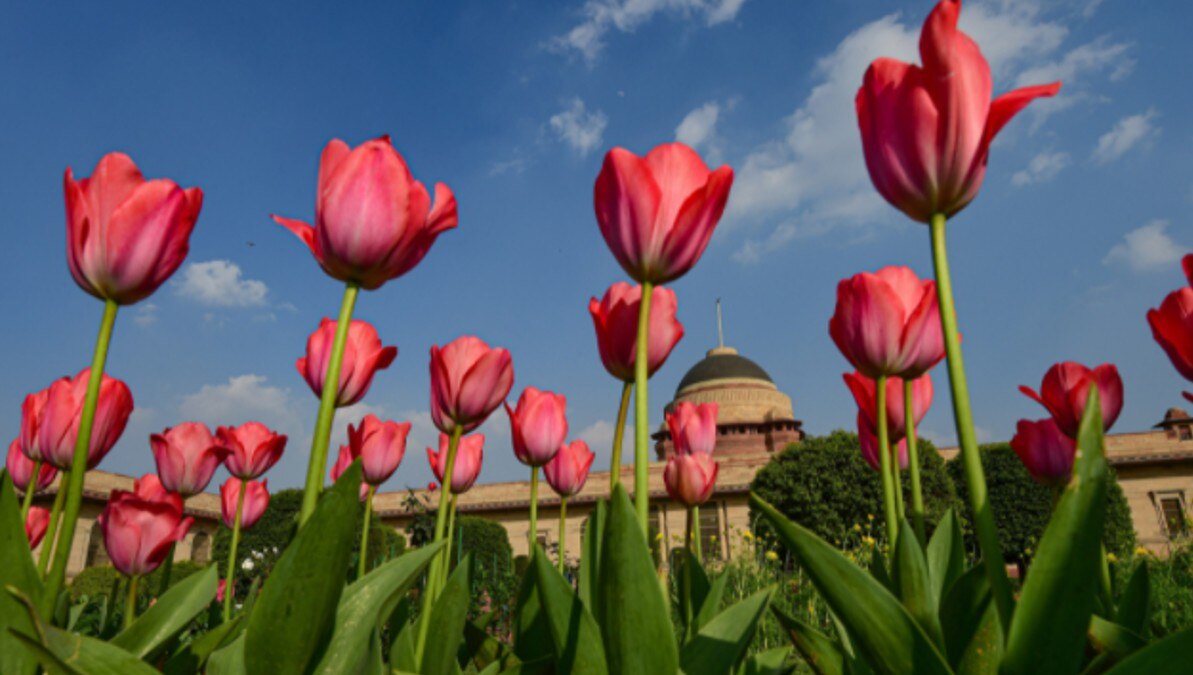 मुगल गार्डन 
