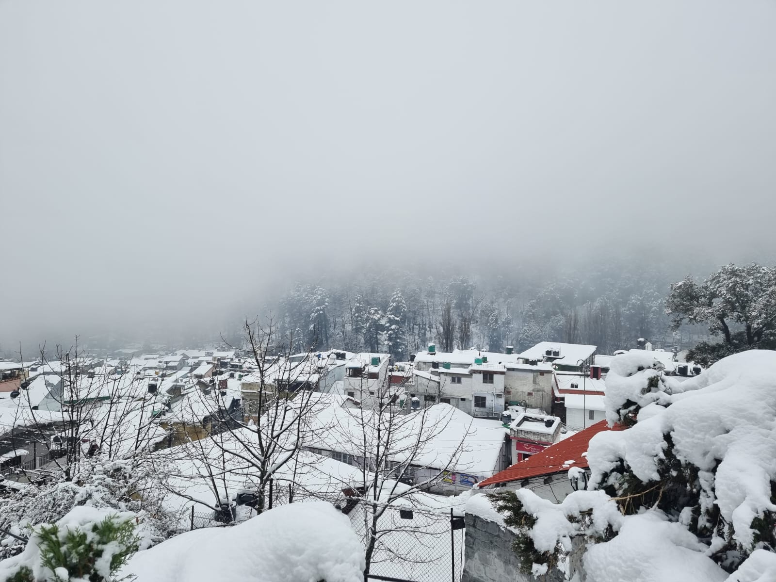 Snowfall in Nainital