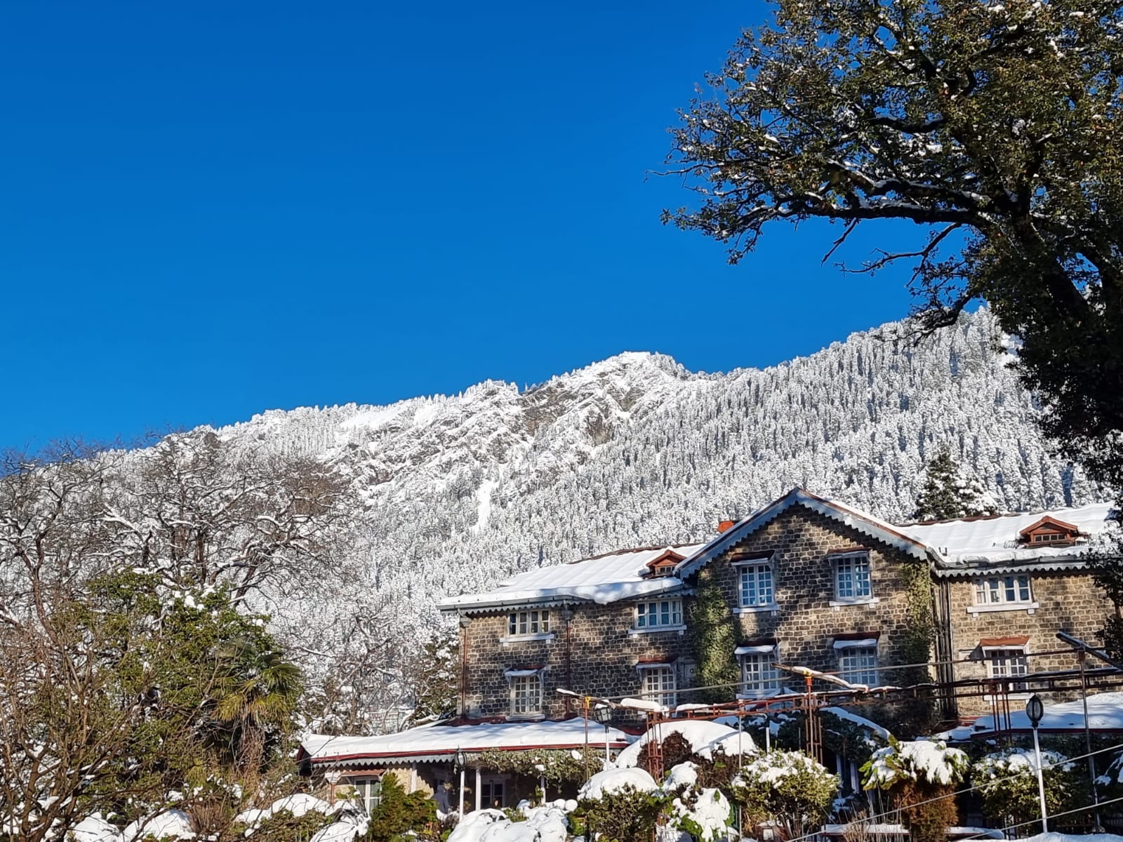 Snowfall in Nainital