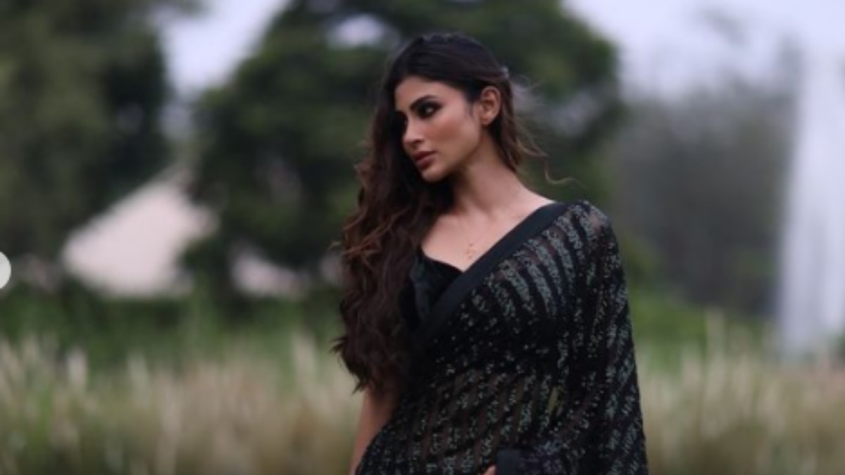 इस फोटो में एक्ट्रेस काली साड़ी, कर्ली बाल, न्यूड मेकअप किया है