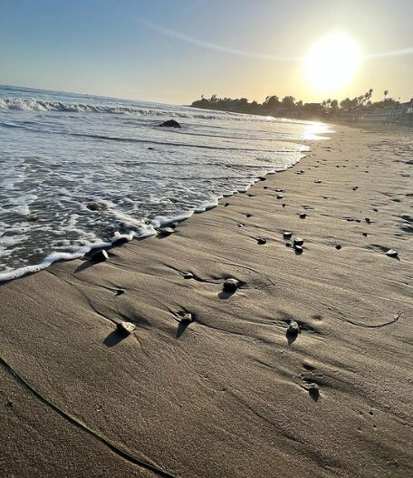 इस फोटो में भी समंदर किनारे का नजारा दिखाया गया है.
