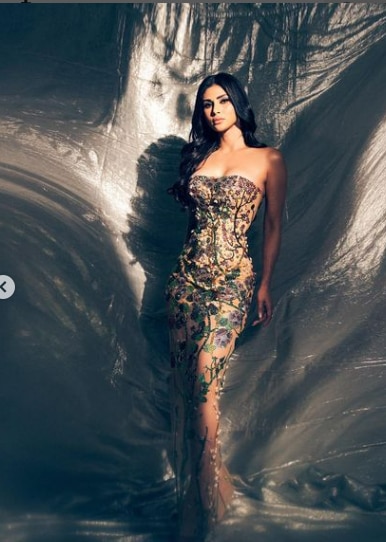 करण जौहर की बर्थडे पार्टी में मौनी इसी ड्रैस में नजर आई थी 