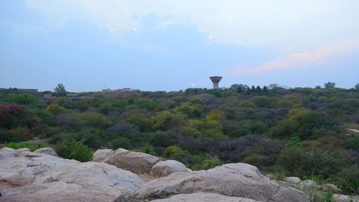 जेएनयू पार्थसारथी रॉक्स