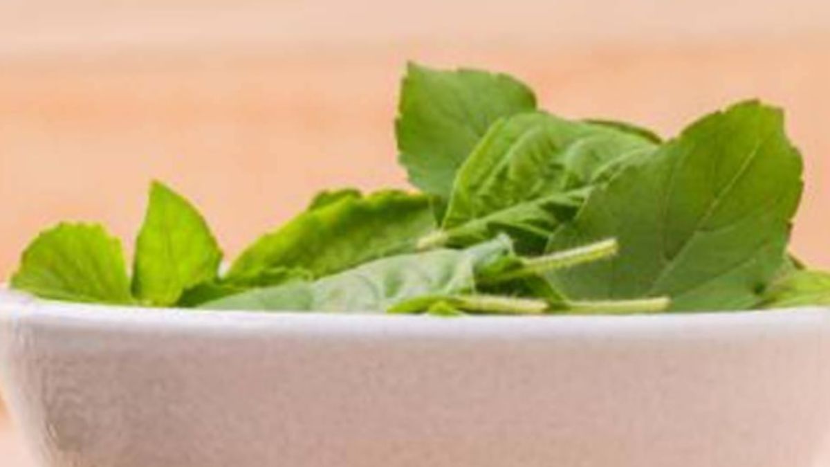 अदरक-तुलसी