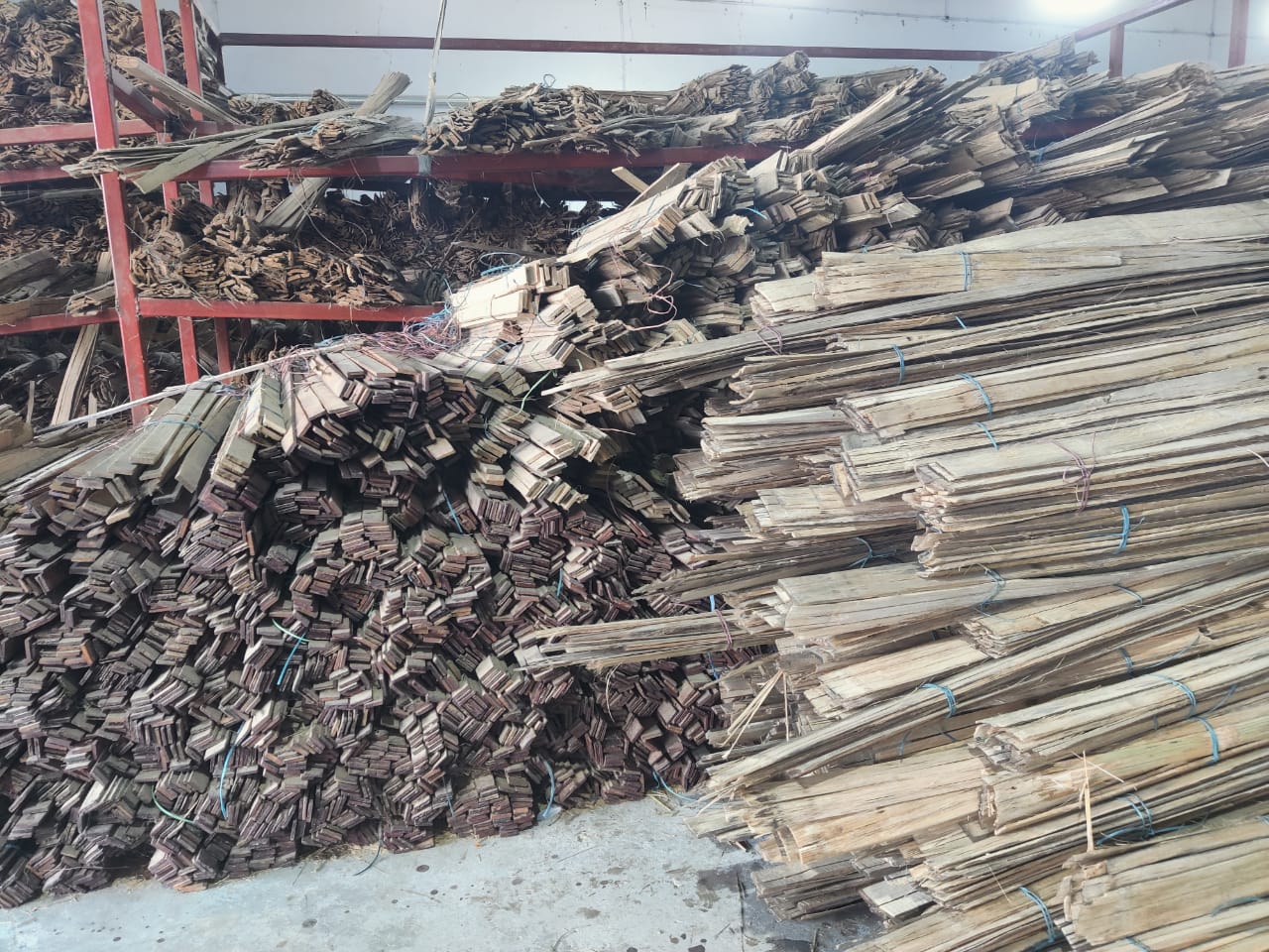  (फोटो: शकील खान)