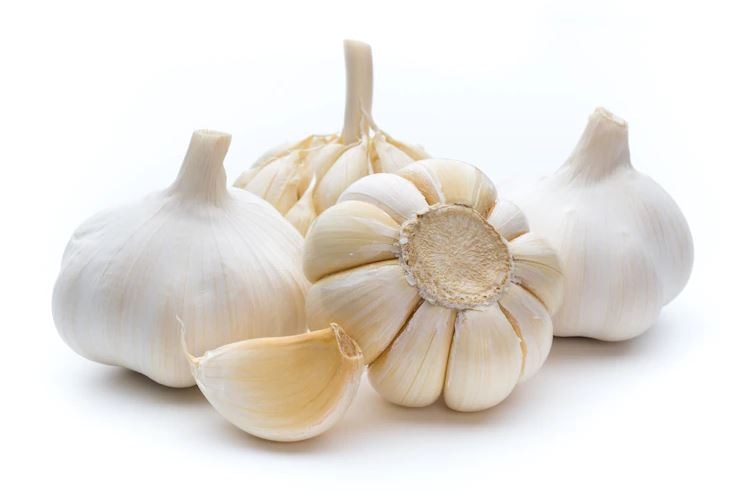 Garlic