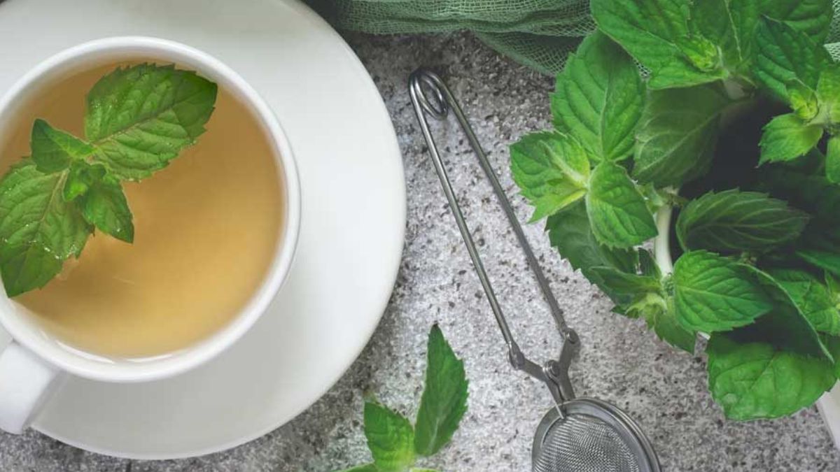 पुदीने की चाय