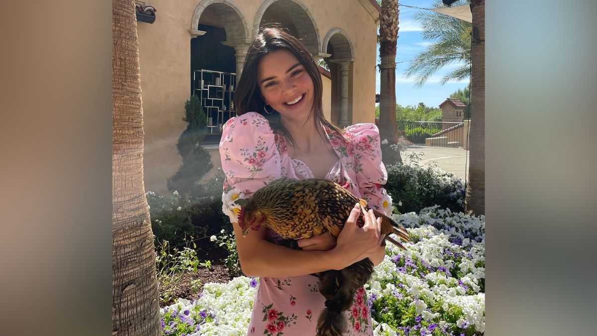 Kendall Jenner Birthday