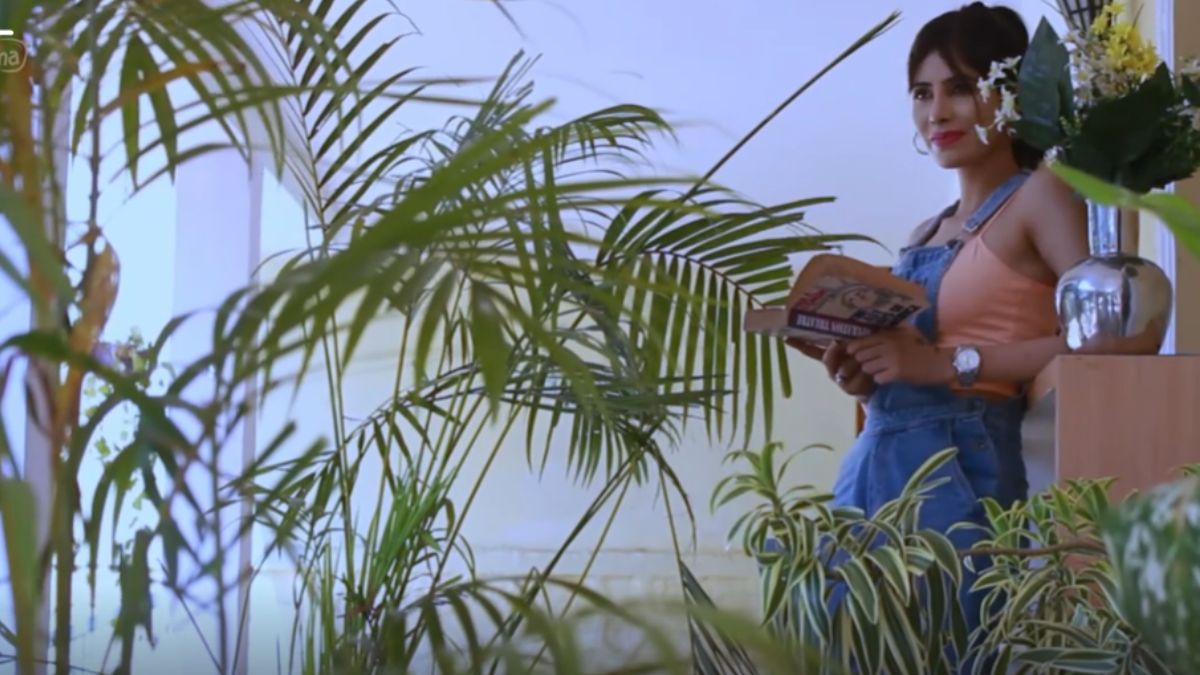 माय हाउस: डोंट कम इन